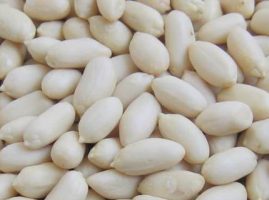 Blanched long shape peanut kernels