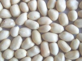 Blanched round shape peanut kernels