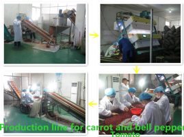carrot production line