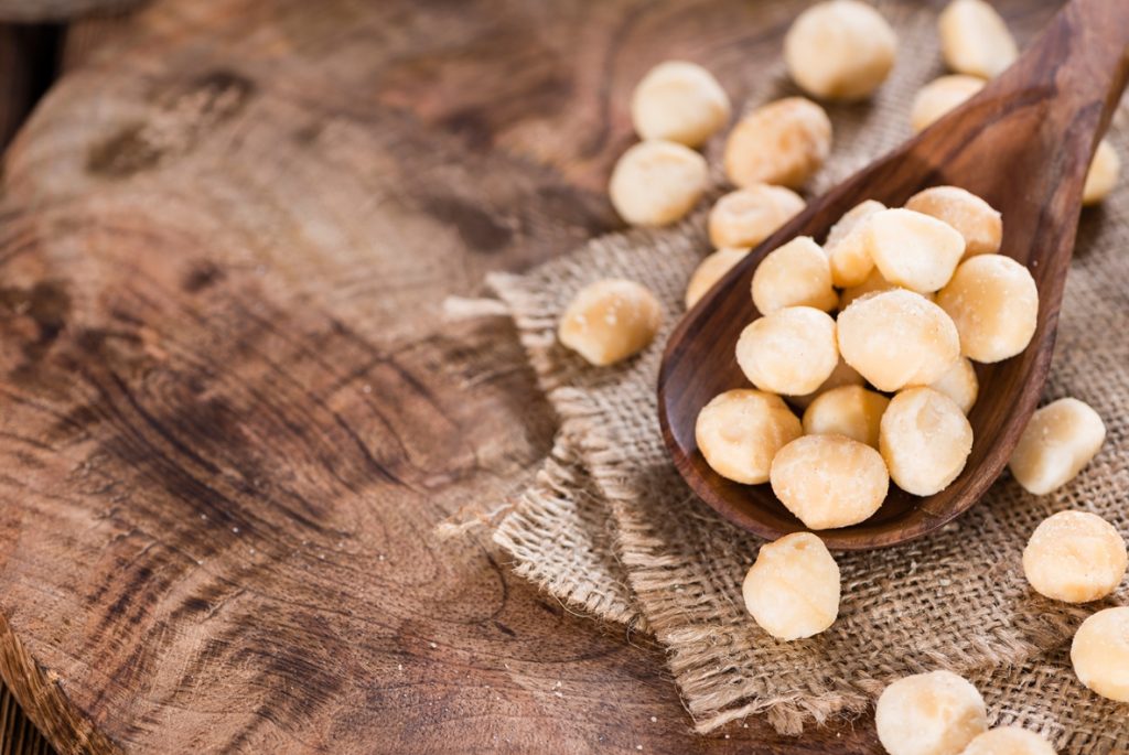 Fun-Facts-of-Macadamia-Nuts