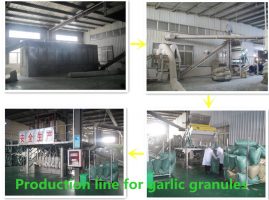 production line for garlic granules